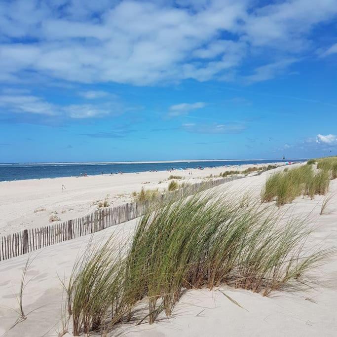 Appartement Les Pieds Dans L Eau Acces Direct Plage Pereire, Parking Gratuit ,Wifi Arcachon Luaran gambar